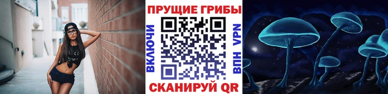 купить закладку  Батайск  Псилоцибиновые грибы GOLDEN TEACHER 