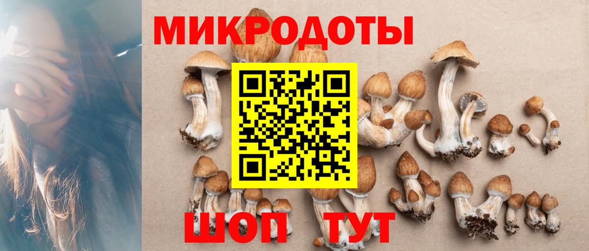 Галлюциногенные грибы GOLDEN TEACHER  Вход с VPN  наркошоп  Батайск 